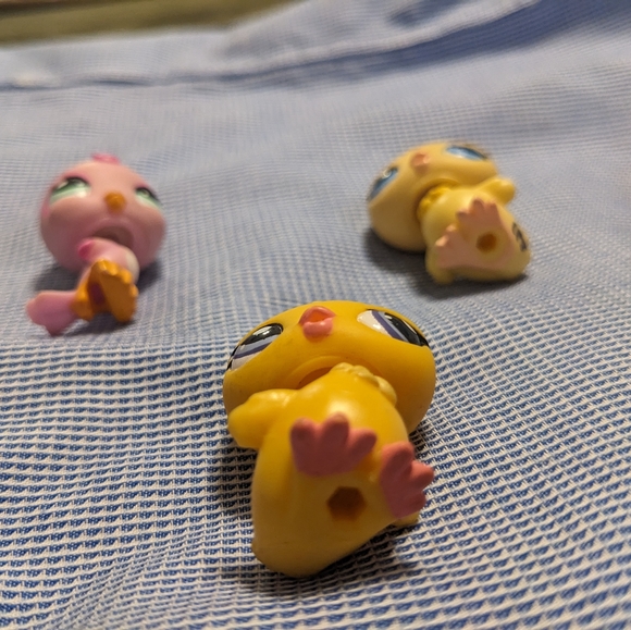 Birds 975, 1995, 2463 RARE, 497, 976 - Picture 3 of 10